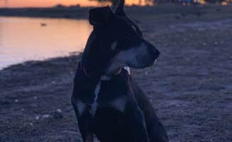 Kellie D.'s photo of camping with pets at Lake Camanche near Ripon, CA