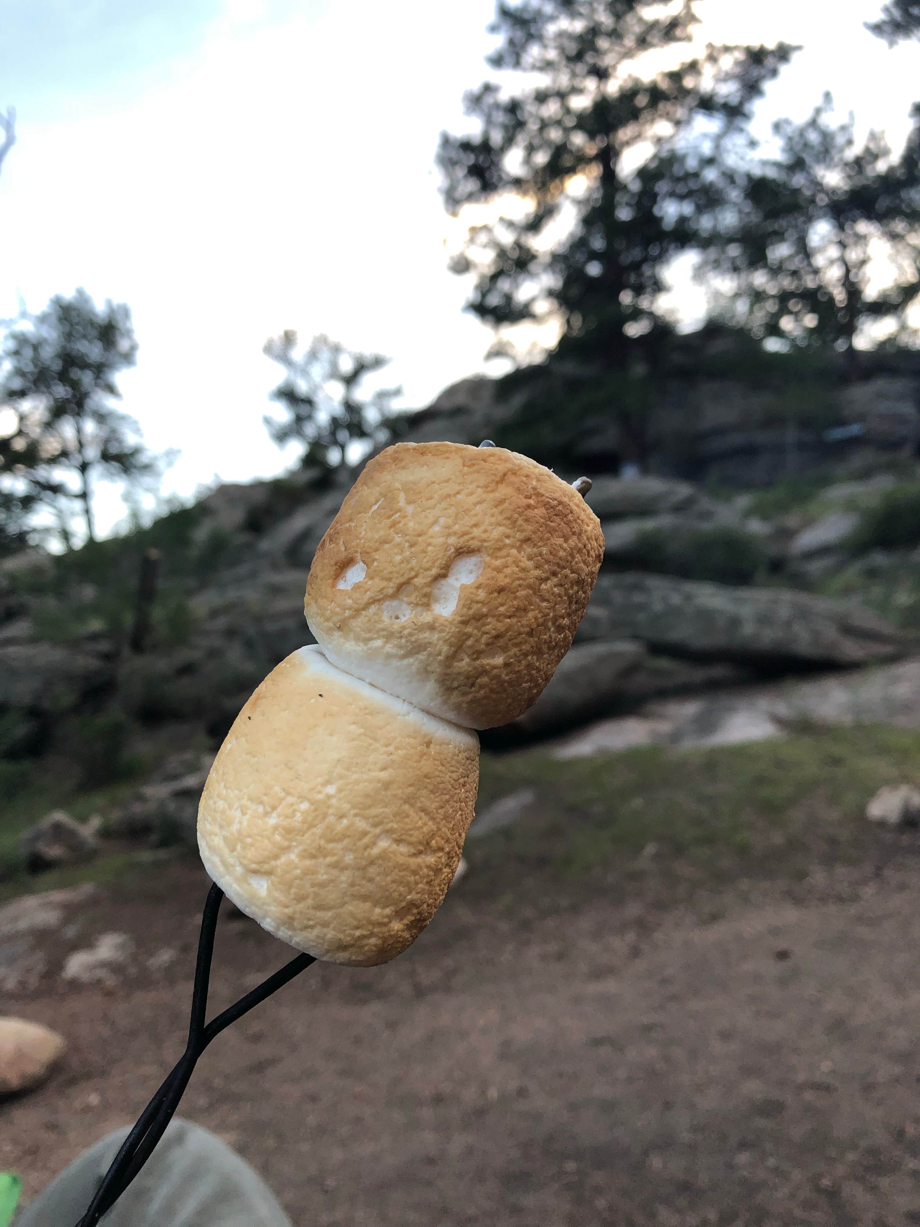 Camper-submitted photo at Spillway Campground near Lake George, CO