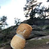 Review photo of Spillway Campground by Amanda M., July 25, 2020