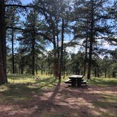 Review photo of Colorado Campground by Amanda M., July 25, 2020