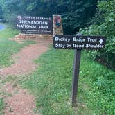 Review photo of Shenandoah National Park Dispersed Sites — Shenandoah National Park by Annemarie R., July 25, 2020