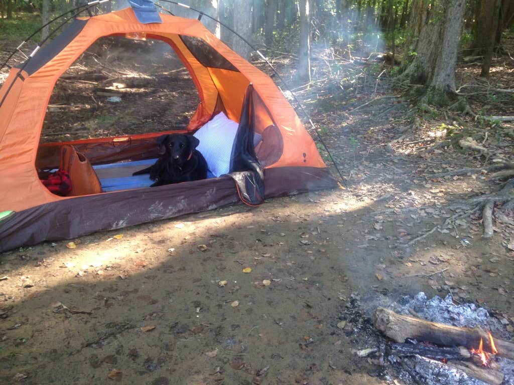 Taylor C.'s photo at Twin Lakes Campground near Grand Rivers, KY