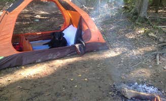 Taylor C.'s photo at Twin Lakes Campground near Smithland, KY