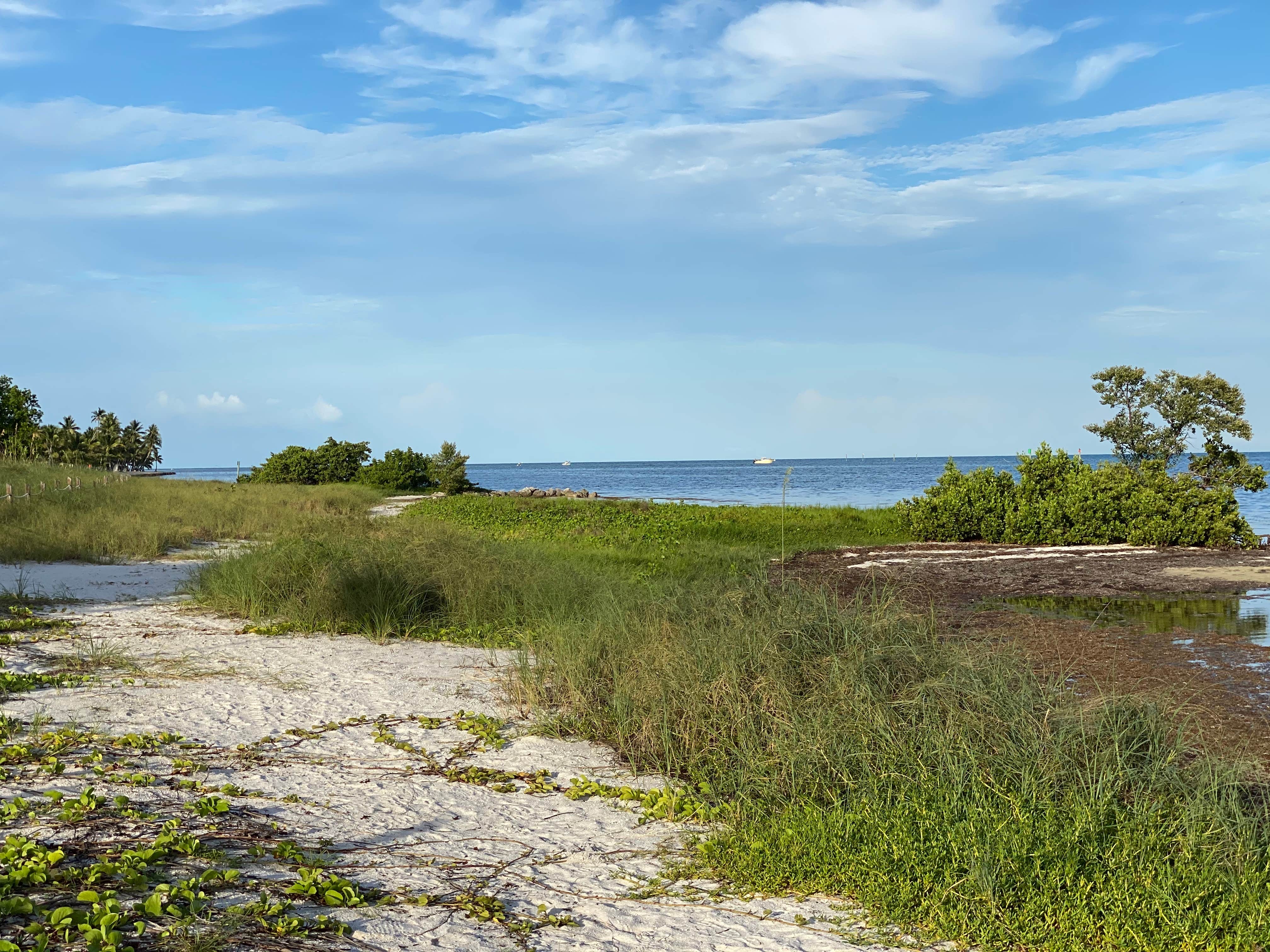 Camper submitted image from Curry Hammock State Park Campground - 4