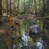 Review photo of Frozen Head State Park Campground by Liz A., July 25, 2020