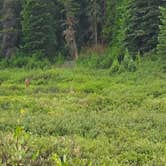 Review photo of Gunnison National Forest Lake Irwin Campground by Josh F., July 25, 2020
