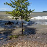 Review photo of Kelleys Island State Park Campground by Daniel & Heather U., November 26, 2019