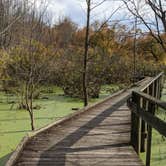 Review photo of Maumee Bay State Park Campground by Daniel & Heather U., November 25, 2019