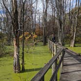 Review photo of Maumee Bay State Park Campground by Daniel & Heather U., November 25, 2019