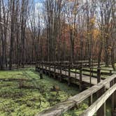 Review photo of Maumee Bay State Park Campground by Daniel & Heather U., November 25, 2019