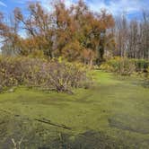 Review photo of Maumee Bay State Park Campground by Daniel & Heather U., November 25, 2019