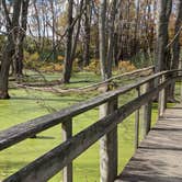 Review photo of Maumee Bay State Park Campground by Daniel & Heather U., November 25, 2019