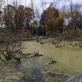 Review photo of Maumee Bay State Park Campground by Daniel & Heather U., November 25, 2019