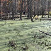 Review photo of Maumee Bay State Park Campground by Daniel & Heather U., November 25, 2019