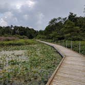 Review photo of Punderson State Park Campground by Daniel & Heather U., November 26, 2019