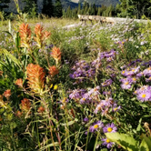 Review photo of Gunnison National Forest Lake Irwin Campground by Katelyn M., March 22, 2018