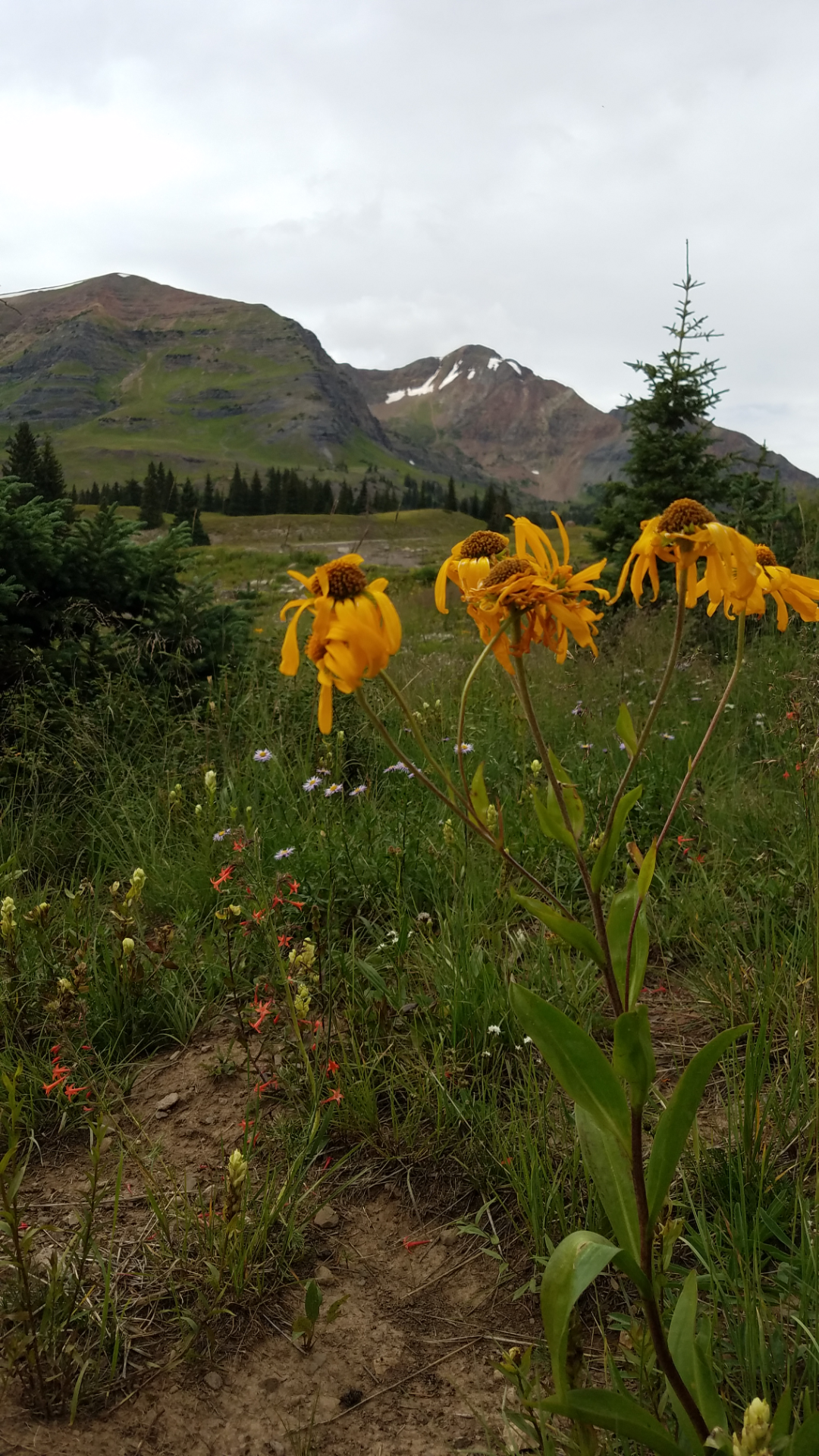 Katelyn M.'s photo at Lake Irwin near Crested Butte, CO
