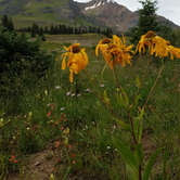 Review photo of Gunnison National Forest Lake Irwin Campground by Katelyn M., March 22, 2018