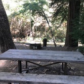 Review photo of Big Sur Campground & Cabins by Daniel D., July 23, 2020