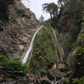 Review photo of Limekiln State Park Campground — TEMPORARILY CLOSED by Daniel D., July 23, 2020