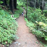 Review photo of Limekiln State Park Campground — TEMPORARILY CLOSED by Daniel D., July 23, 2020