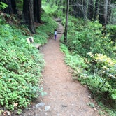 Review photo of Limekiln State Park - TEMPORARILY CLOSED by Daniel D., July 23, 2020