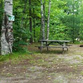 Review photo of Twin Mountain Campground by Jean C., July 25, 2020