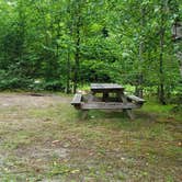 Review photo of Twin Mountain Campground by Jean C., July 25, 2020