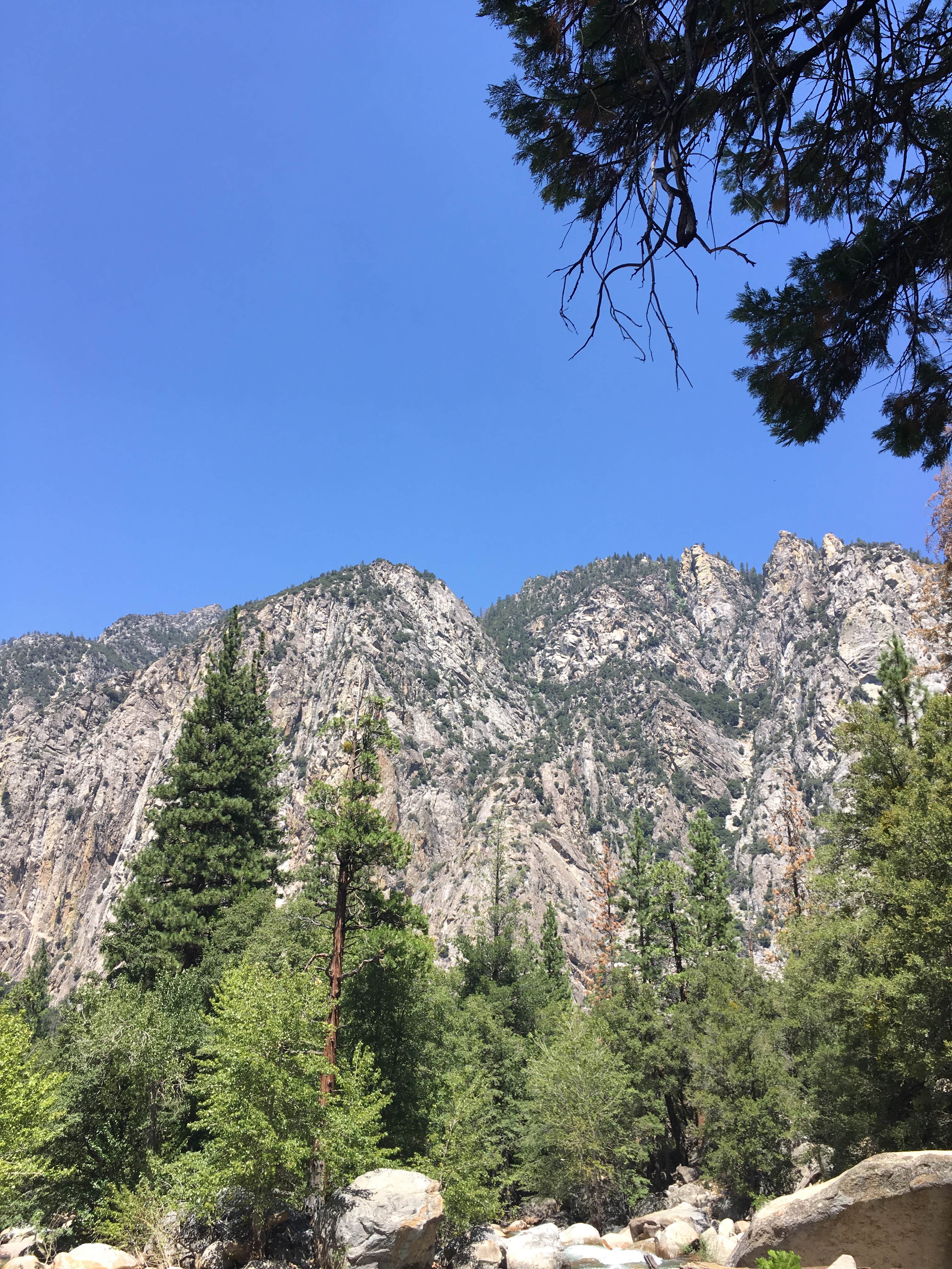 Camper submitted image from Moraine Campground — Kings Canyon National Park - 2