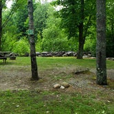 Review photo of Twin Mountain Campground by Jean C., July 25, 2020