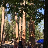 Review photo of Moraine Campground — Kings Canyon National Park by Eileen  M., March 23, 2018