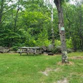 Review photo of Twin Mountain Campground by Jean C., July 25, 2020