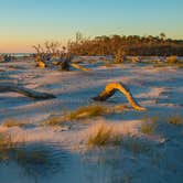 Review photo of Hunting Island State Park Campground by Shari  G., March 23, 2018