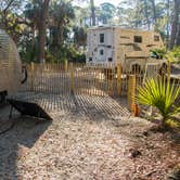 Review photo of Hunting Island State Park Campground by Shari  G., March 23, 2018