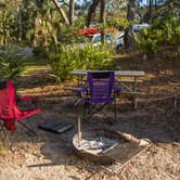 Review photo of Hunting Island State Park Campground by Shari  G., March 23, 2018