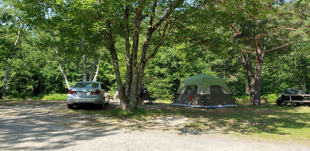 Jean C.'s photo at Twin Mountain Campground near Twin Mountain, NH