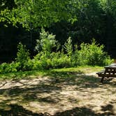 Review photo of Twin Mountain Campground by Jean C., July 25, 2020