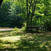 Review photo of Twin Mountain Campground by Jean C., July 25, 2020