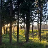 Review photo of Headwaters Campground at Flagg Ranch — John D. Rockefeller, Jr., Memorial Parkway by Layla D., July 25, 2020