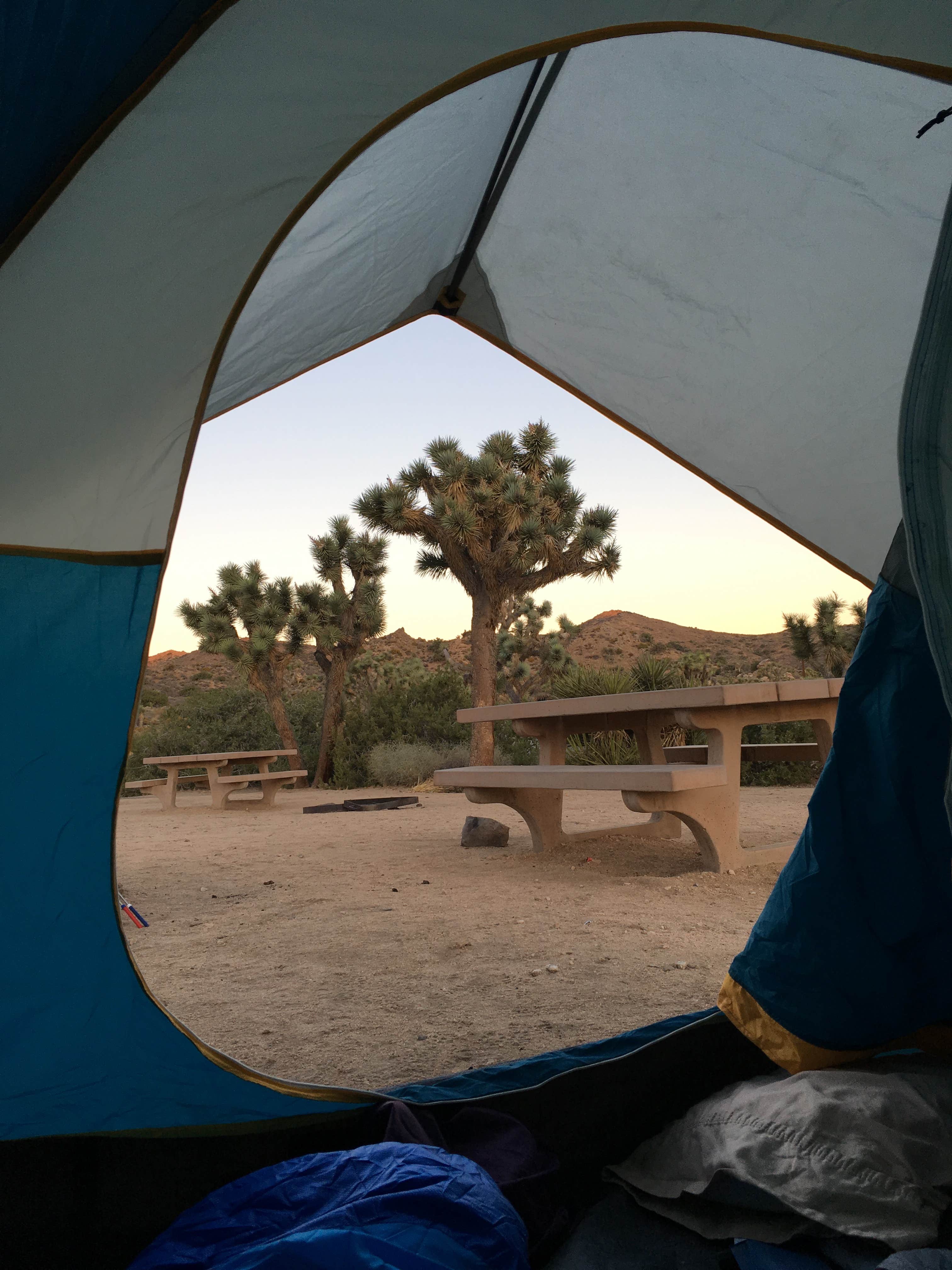 Joy C.'s photo at Black Rock Campground — Joshua Tree National Park near Yucca Valley, CA