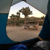 Review photo of Black Rock Campground — Joshua Tree National Park by Joy C., July 25, 2020