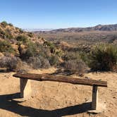 Review photo of Black Rock Campground — Joshua Tree National Park by Joy C., July 25, 2020