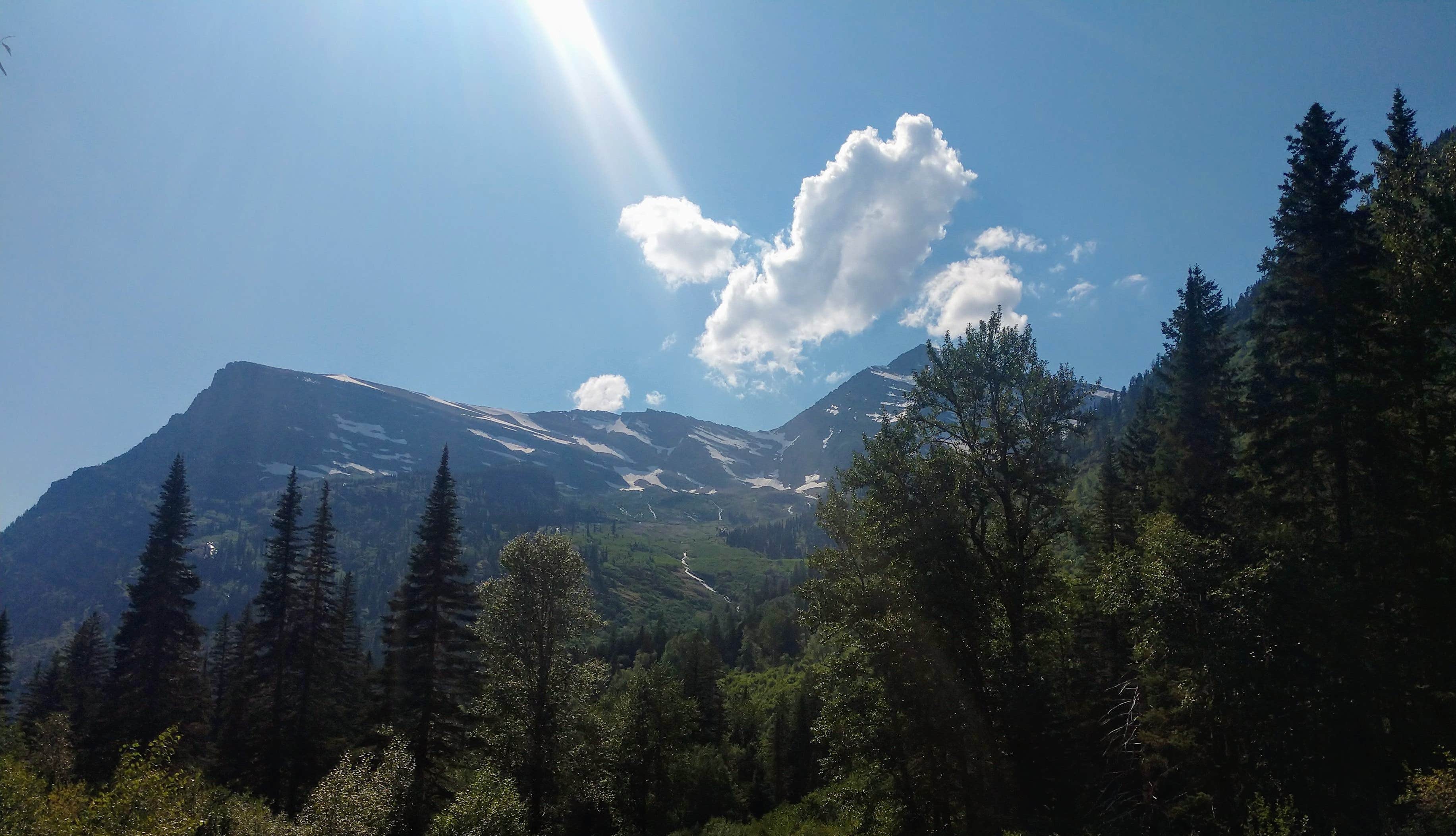 Camper submitted image from North fork Flathead River dispersed camping - 2