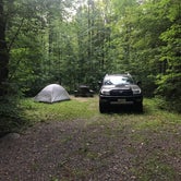 Review photo of Lake of the Pines Campground — Flambeau River State Forest by Beth D., July 25, 2020