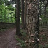 Review photo of Lake of the Pines Campground — Flambeau River State Forest by Beth D., July 25, 2020