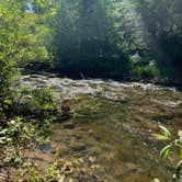 Review photo of Targhee National Forest Tincup Campground by Stacey G., July 25, 2020