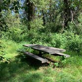 Review photo of Targhee National Forest Tincup Campground by Stacey G., July 25, 2020