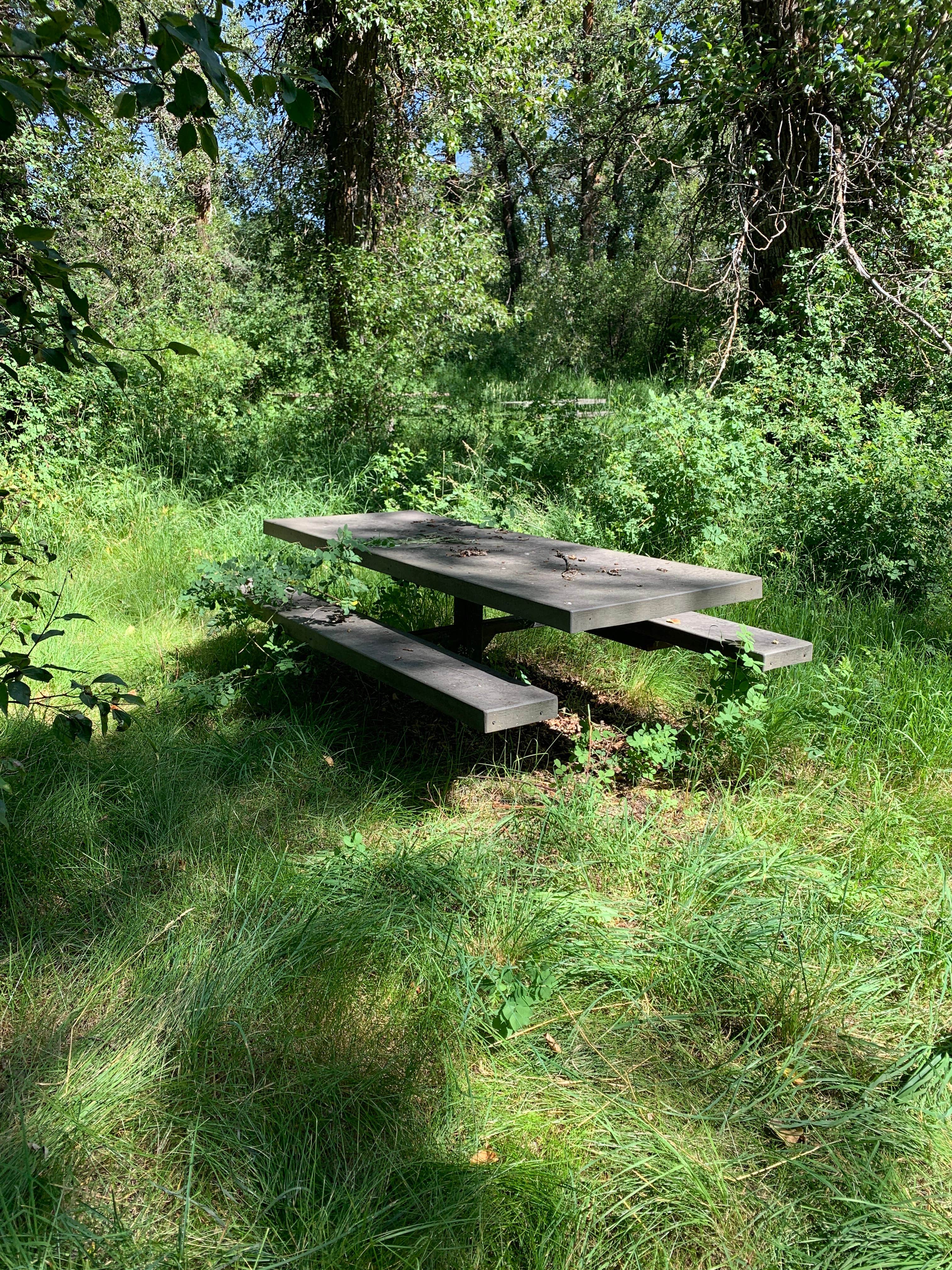 Camper submitted image from Targhee National Forest Tincup Campground - 1