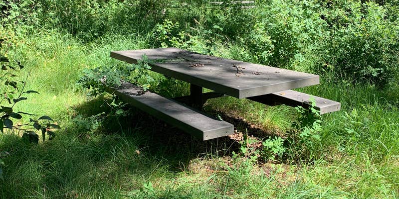 Camper submitted image from Targhee National Forest Tincup Campground