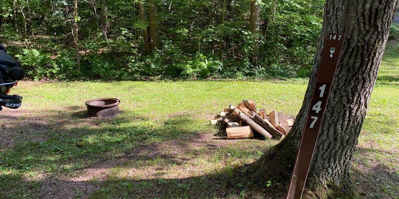 Camper submitted image from Rock Dam Park